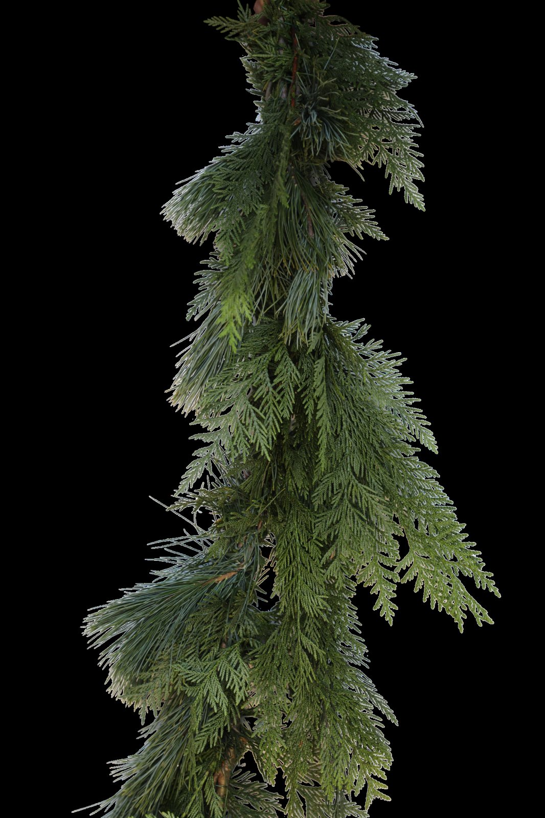 Cedar and Pine Garland