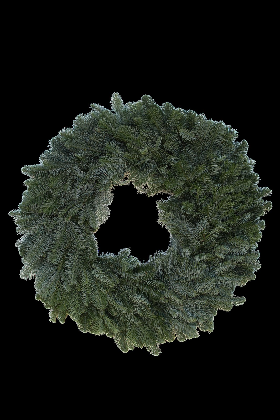 Plain Fir Wreath