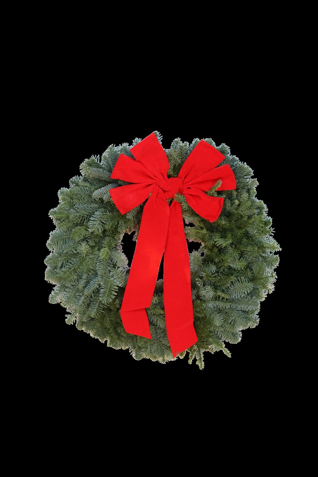 Fir Wreath with Bow